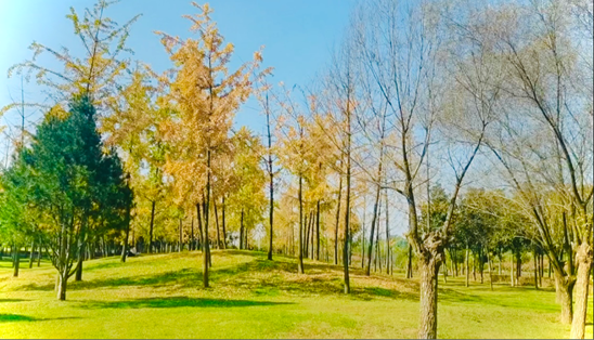 凝心聚力不言敗，篤行致遠(yuǎn)贏未來(lái)---記廣勤電子洨河公園露營(yíng)活動(dòng)